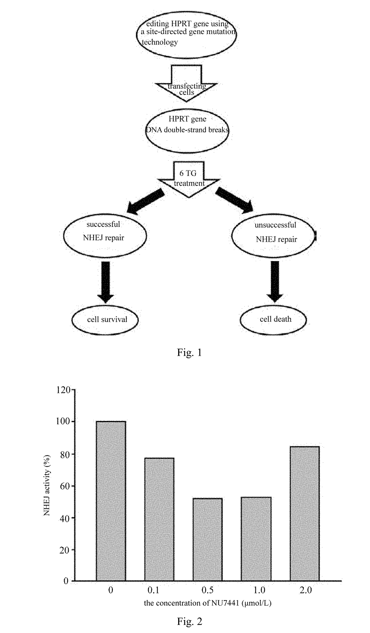 Method for Determining the Repair Activity of Non-Homologous End Joining