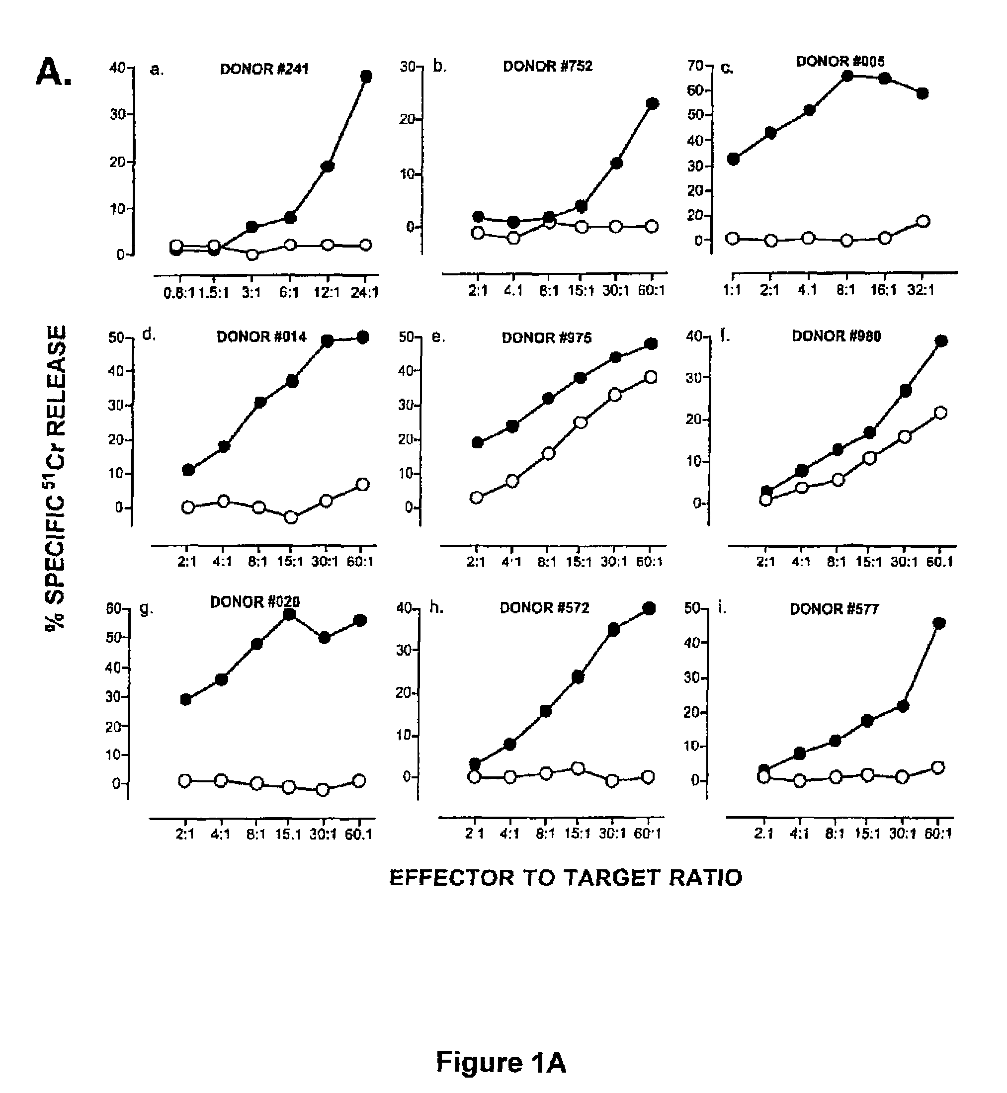 Composition and method for inducing and enhancing a telomerase reverse transcriptase-reactive cytotoxic T lymphocyte response