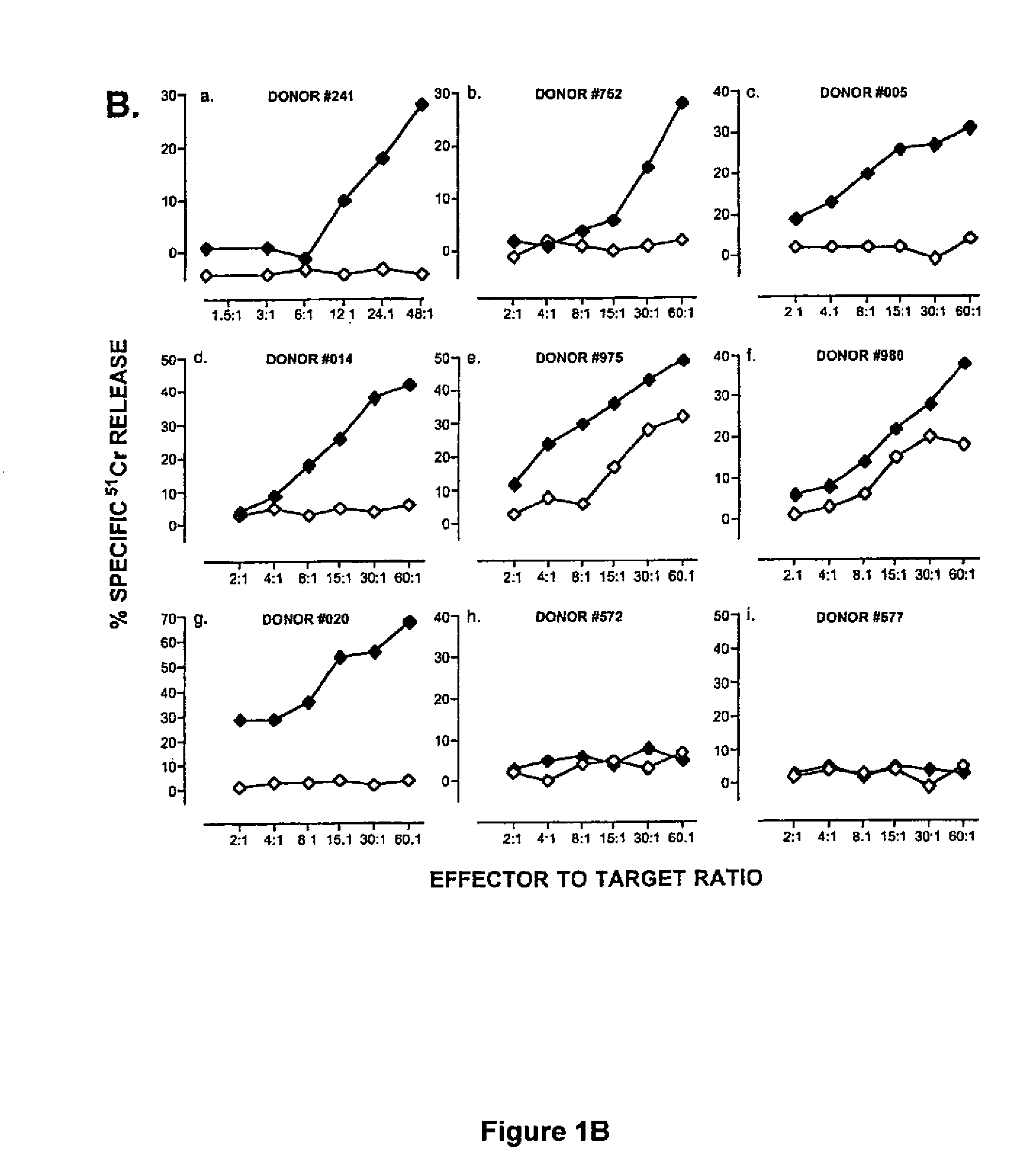 Composition and method for inducing and enhancing a telomerase reverse transcriptase-reactive cytotoxic T lymphocyte response