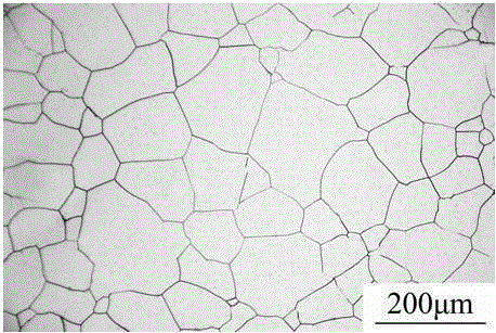 A Metallographic Corrosion Method for Revealing Grain Boundary of Austenitic Stainless Steel