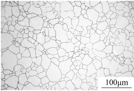 A Metallographic Corrosion Method for Revealing Grain Boundary of Austenitic Stainless Steel