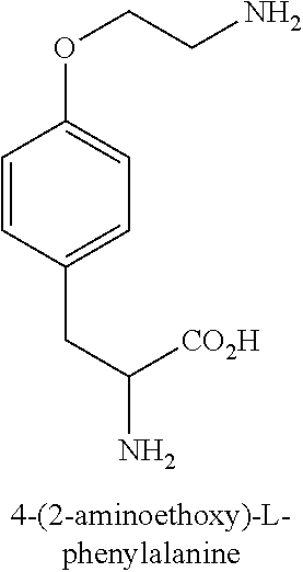 Peptide inhibitors of interleukin-23 receptor and their use to treat inflammatory diseases