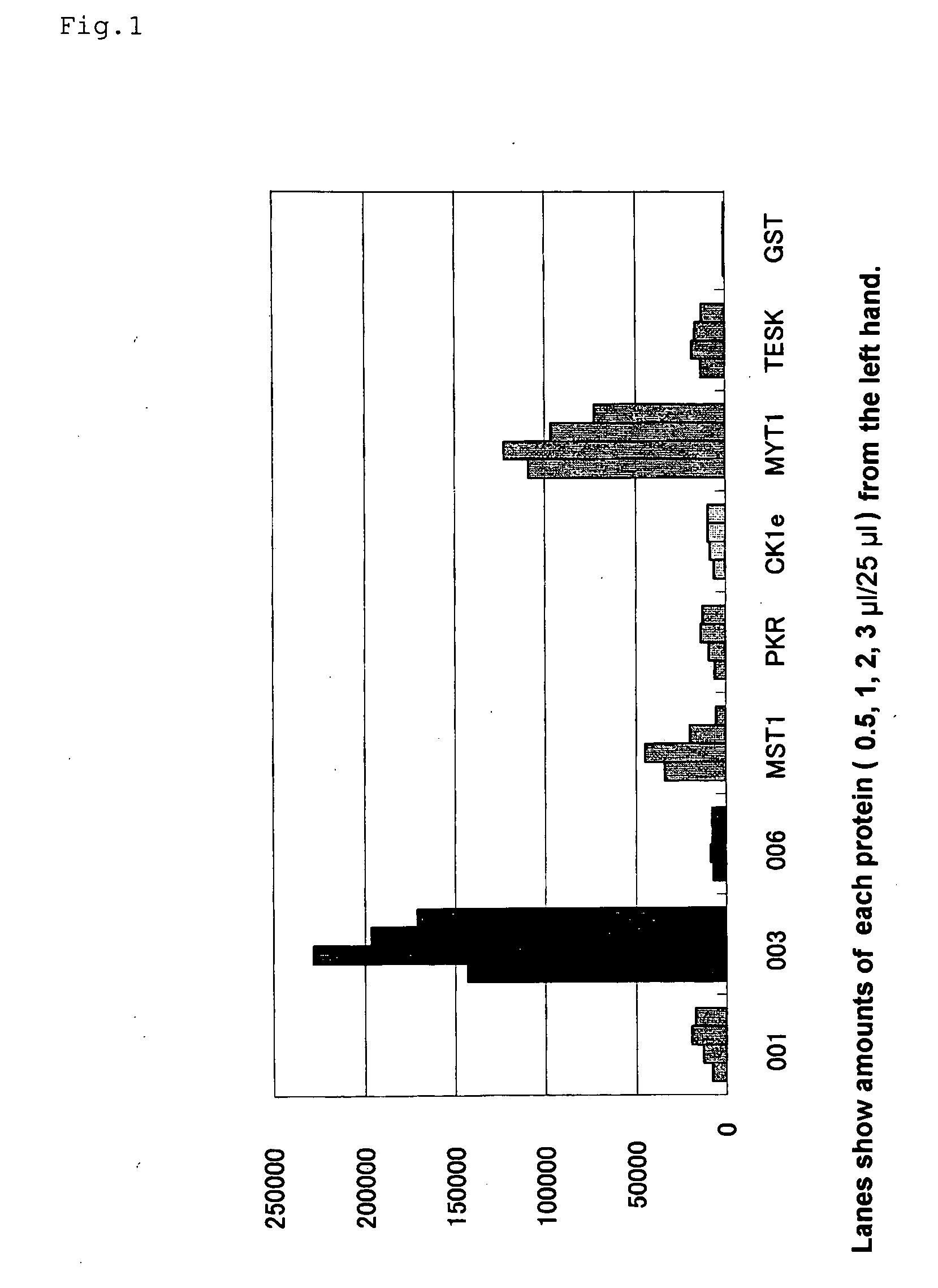 Preparation method of biotinylated protein and detection method using the same