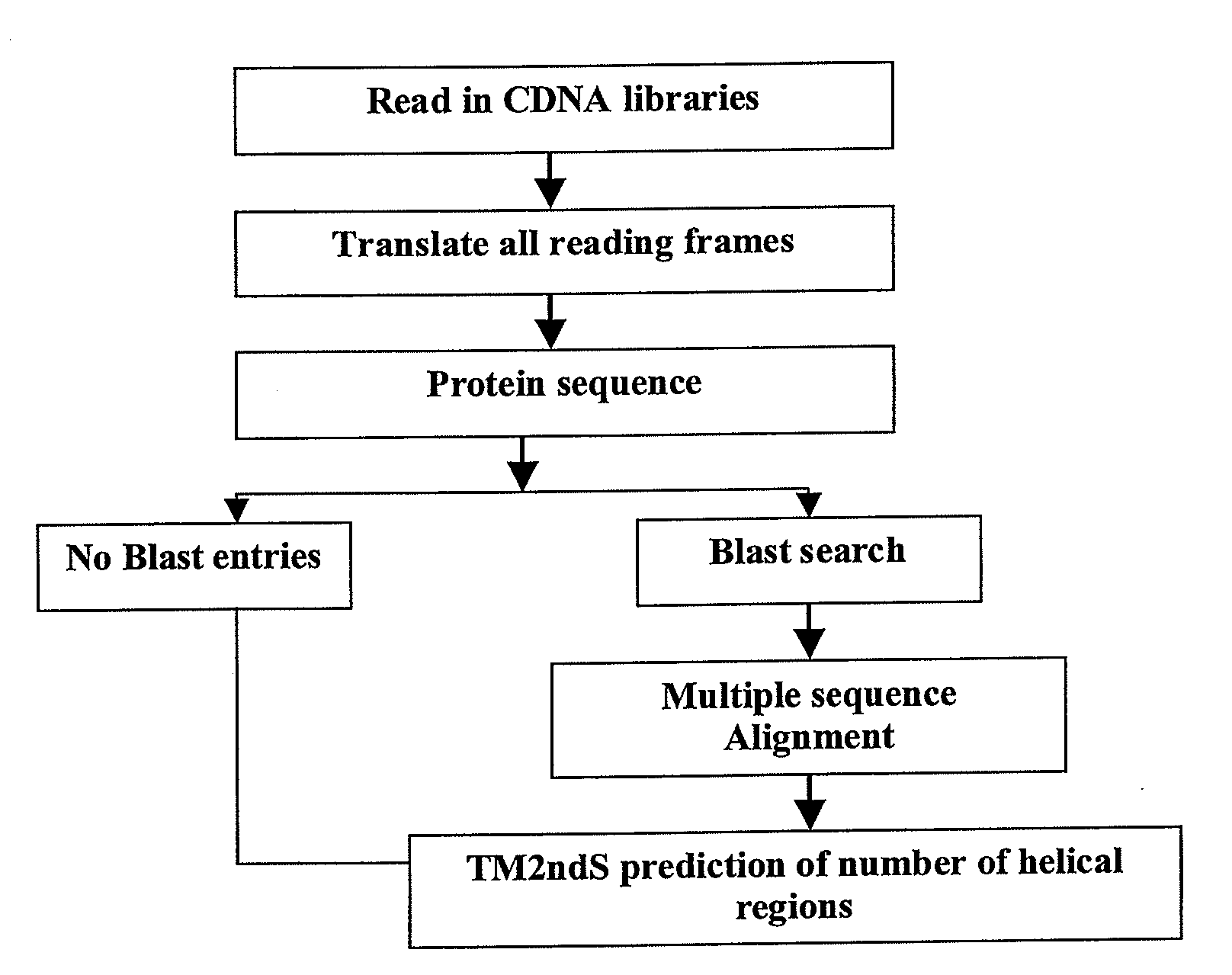 System and methods for predicting transmembrane domains in membrane proteins and mining the genome for recognizing g-protein coupled receptors