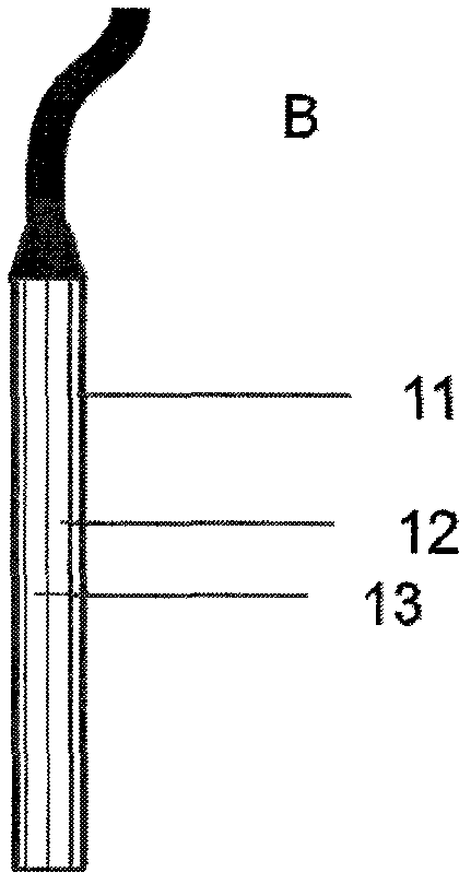 Device and method for recording living body fluorescence signals