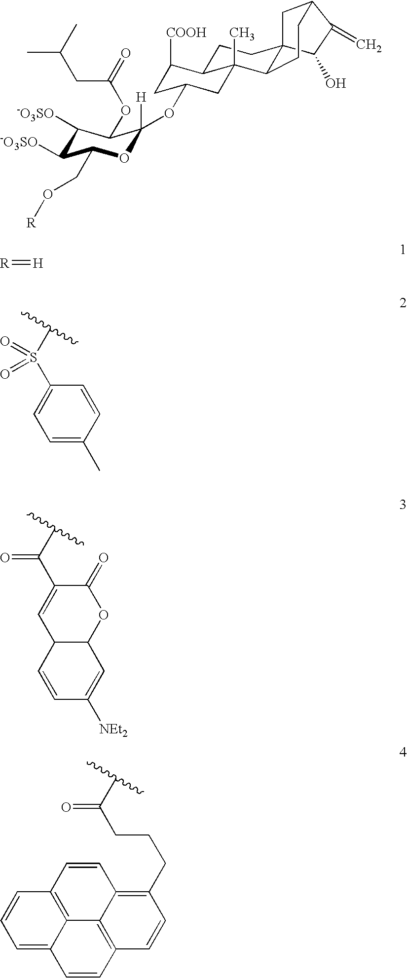 Production of adenine nucleotide translocator (ANT), novel ANT ligands and screening assays therefor