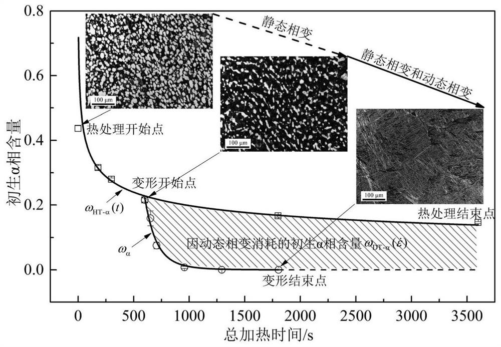 A Prediction Method for Microstructure Changes of Near-α-Type Titanium Alloy Aerospace Die Forgings