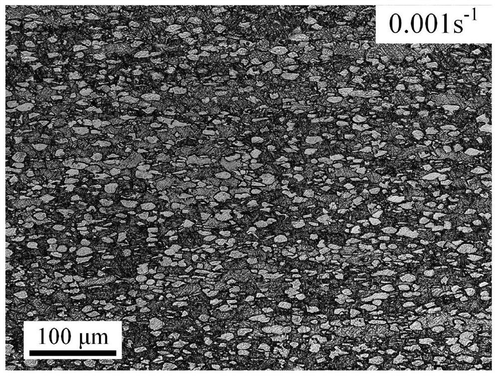 A Prediction Method for Microstructure Changes of Near-α-Type Titanium Alloy Aerospace Die Forgings