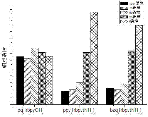 Cyclizing metal iridium complex and application thereof