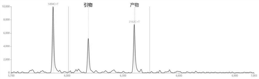 Primer for detecting deafness gene SLC26A4 point mutation and application thereof