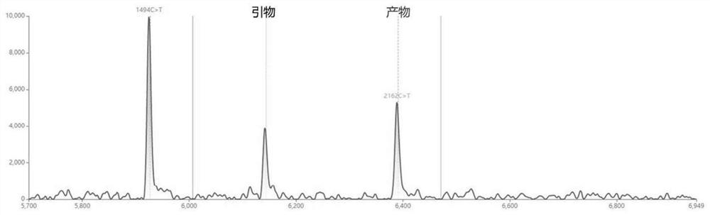 Primer for detecting deafness gene SLC26A4 point mutation and application thereof