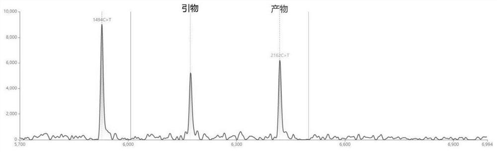 Primer for detecting deafness gene SLC26A4 point mutation and application thereof