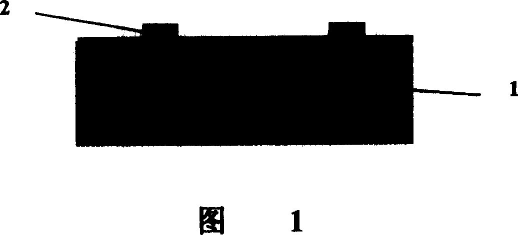 Quantitative monitoring method and structure for plasma etching