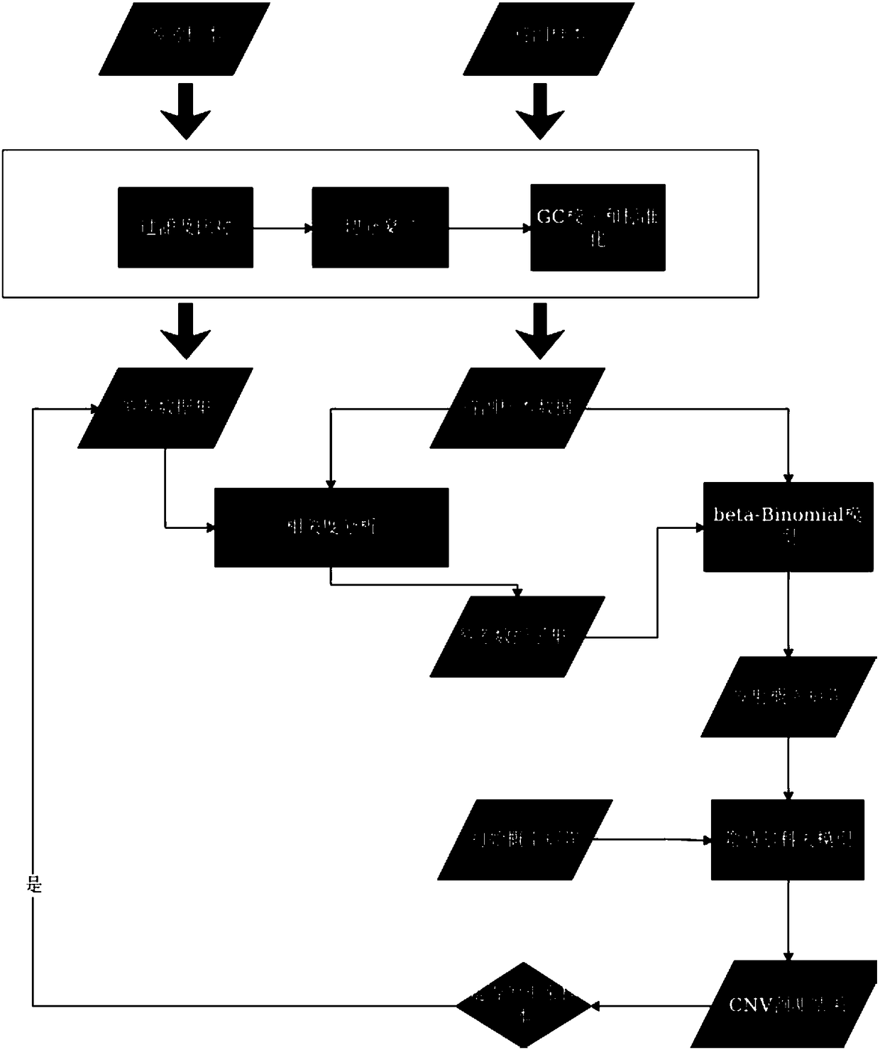 Method for genome copy number variation based on target region capturing sequencing