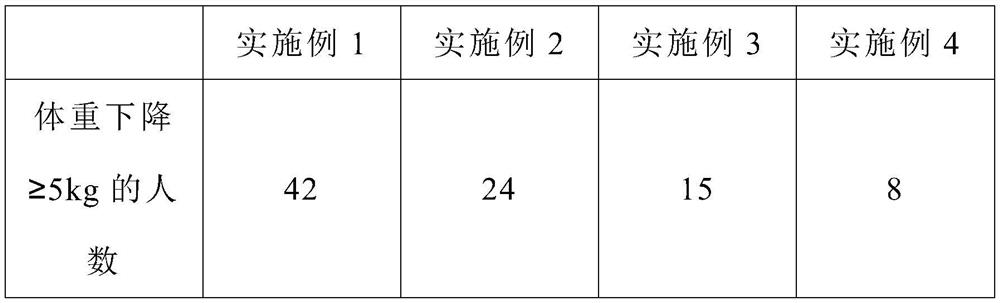 Composite probiotic beverage beneficial to weight loss and preparation method of composite probiotic beverage