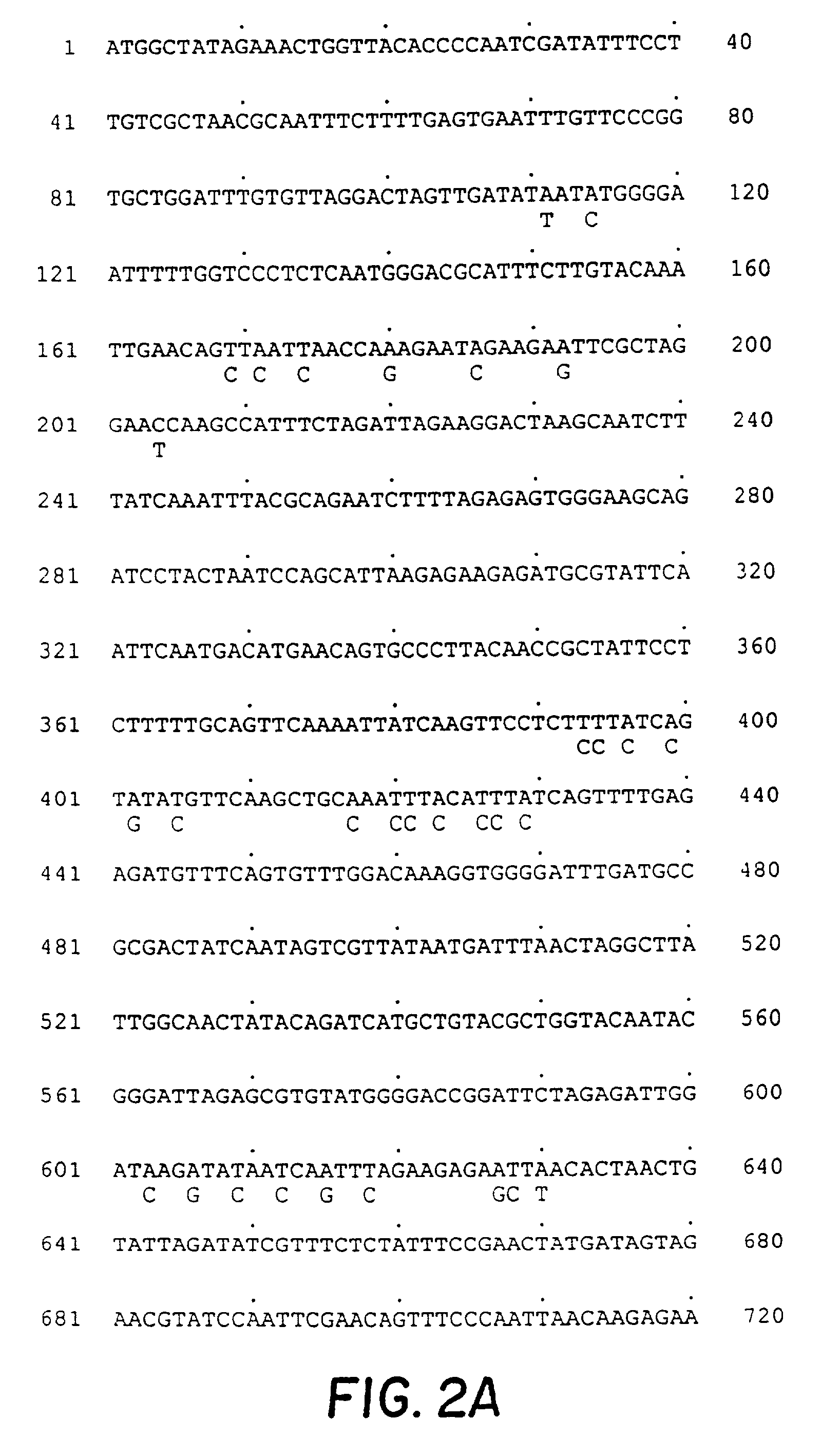 Synthetic plant genes and method for preparation