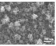 A nickel-iron/carbon film-nickel integrated composite electrode and its preparation method