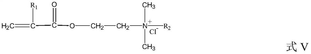 A kind of hydrophilic strong alkali resistant color fixing agent and preparation method thereof