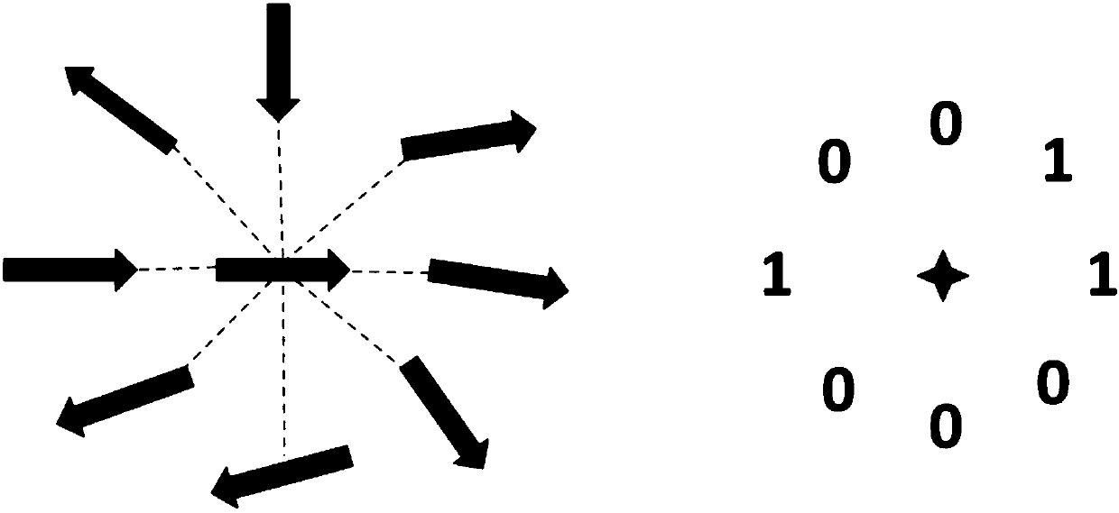 A Method of Texture Feature Extraction in Gray Image Based on Orientation Selectivity