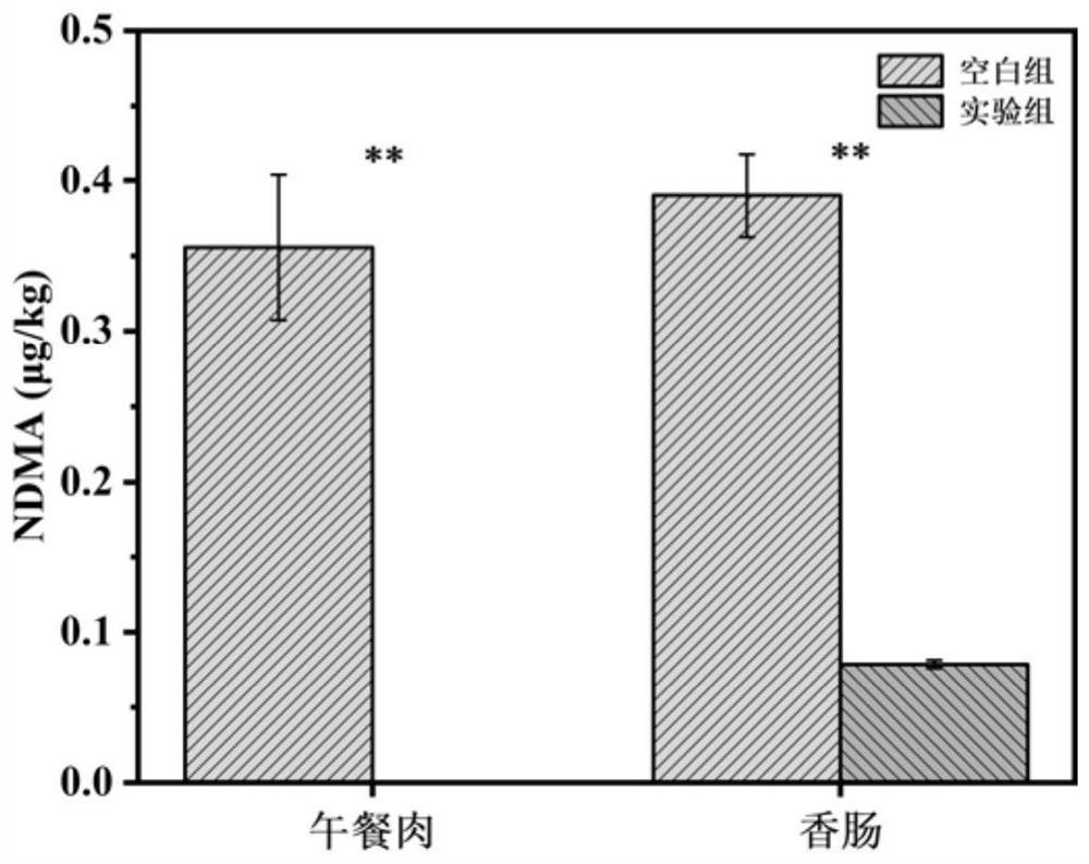 Stenotrophomonas rhizophila capable of inhibiting generation of nitrosamine and application thereof