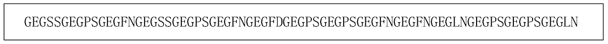 Antigen of Babesia vole bm1524 and its application