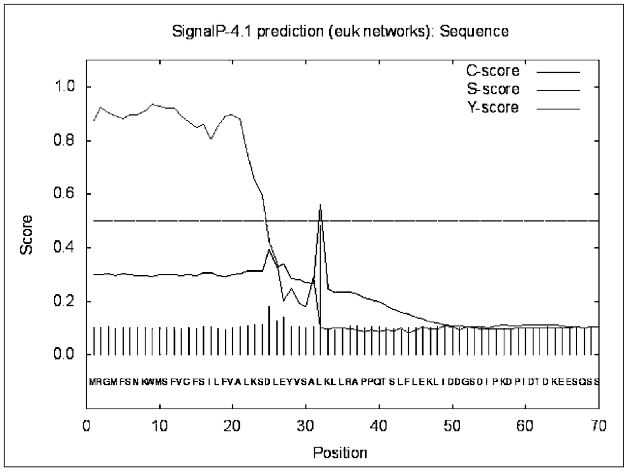 Antigen of Babesia vole bm1524 and its application