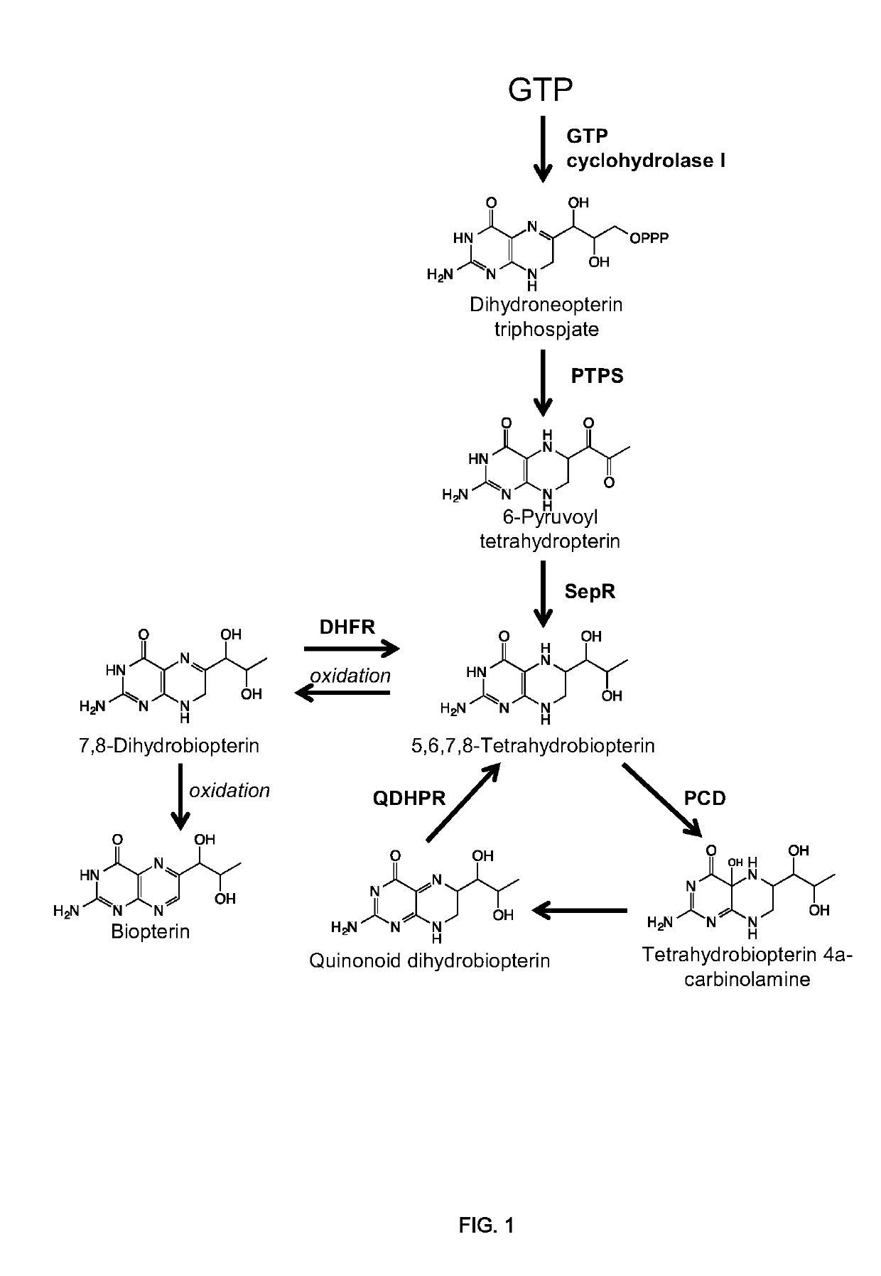 Methods of producing nor-opioid and nal-opioid benzylisoquinoline alkaloids