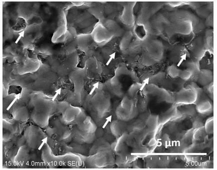 Preparation method of laminar carbon nano tube enhanced copper-based composite material