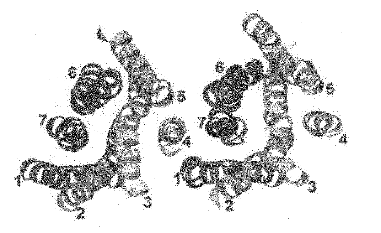 Low molecular weight polyethylene glycol drug conjugates having improved drug biological activity