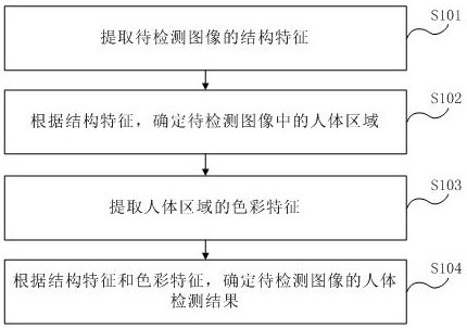 Human body detection method and device