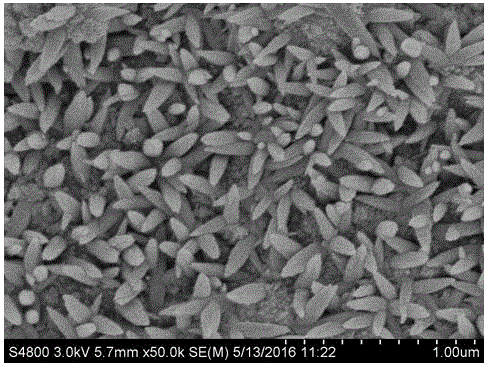 Method for preparing titanium dioxide nanorod/polypyrrole/dacron compound fabric