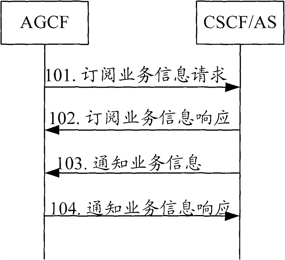 Transmission method and network element equipment of user service information