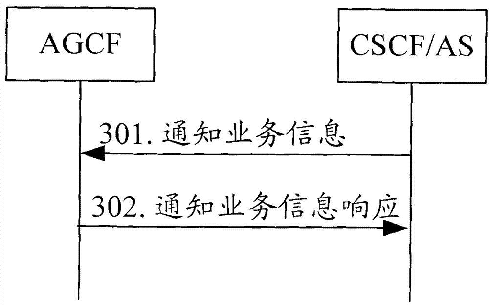 Transmission method and network element equipment of user service information