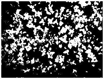 Metal ceramic alloy powder for plasma arc surfacing