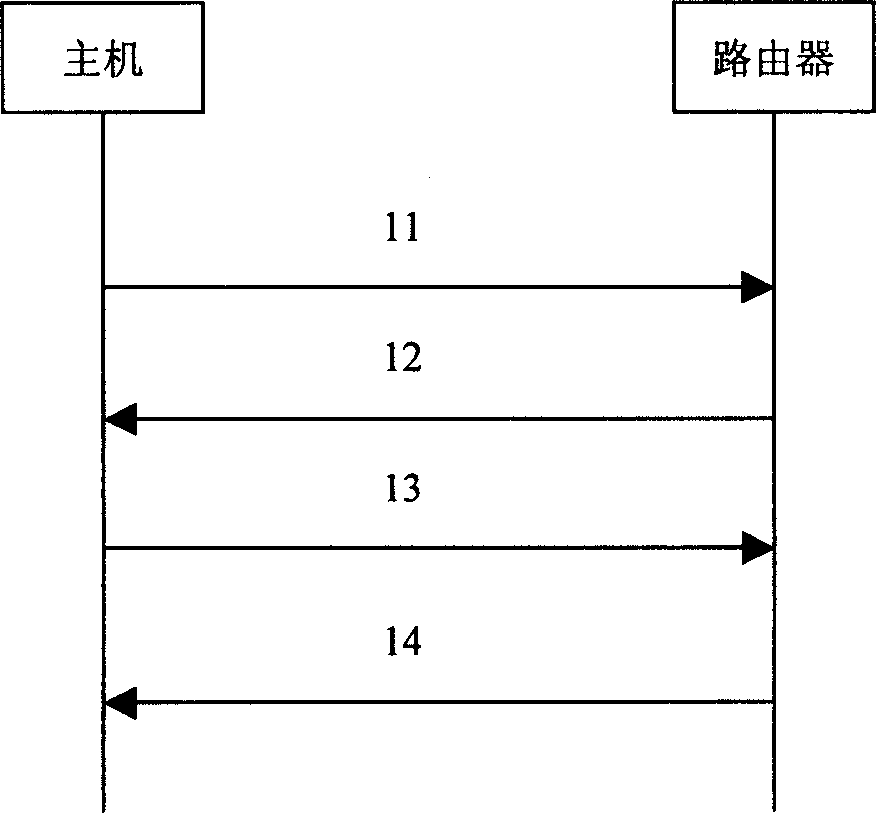 Method for host obtaining network allocation parameterns in IPV6 network