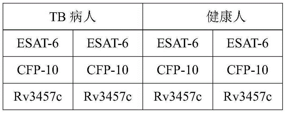 Mycobacterium tuberculosis Rv3457c recombinant protein as well as preparation method and application thereof
