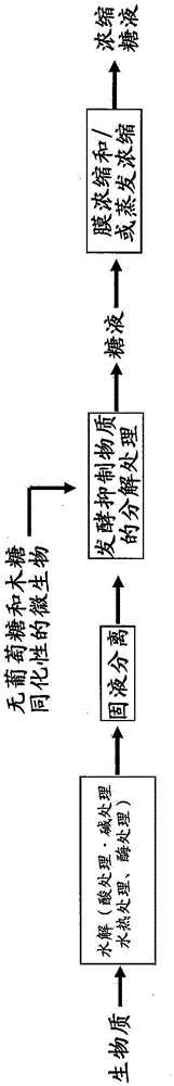 Method for producing saccharide solution