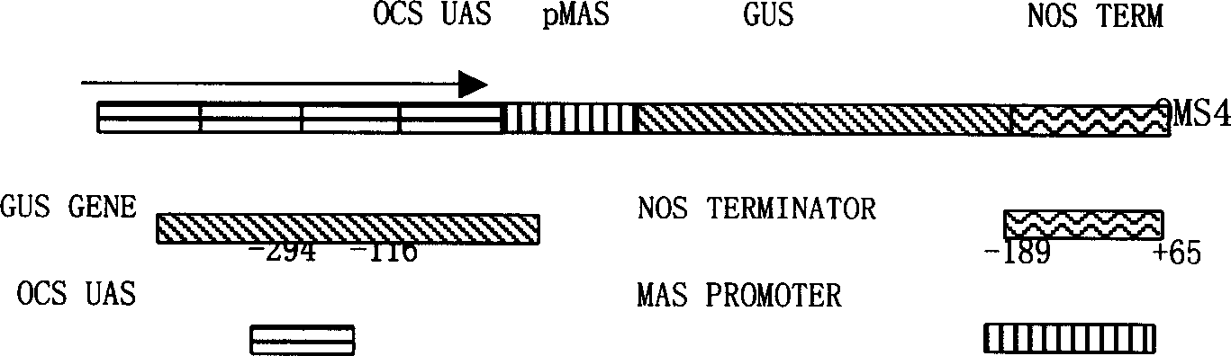 Superstrong fusion promoter, fusion method and use thereof