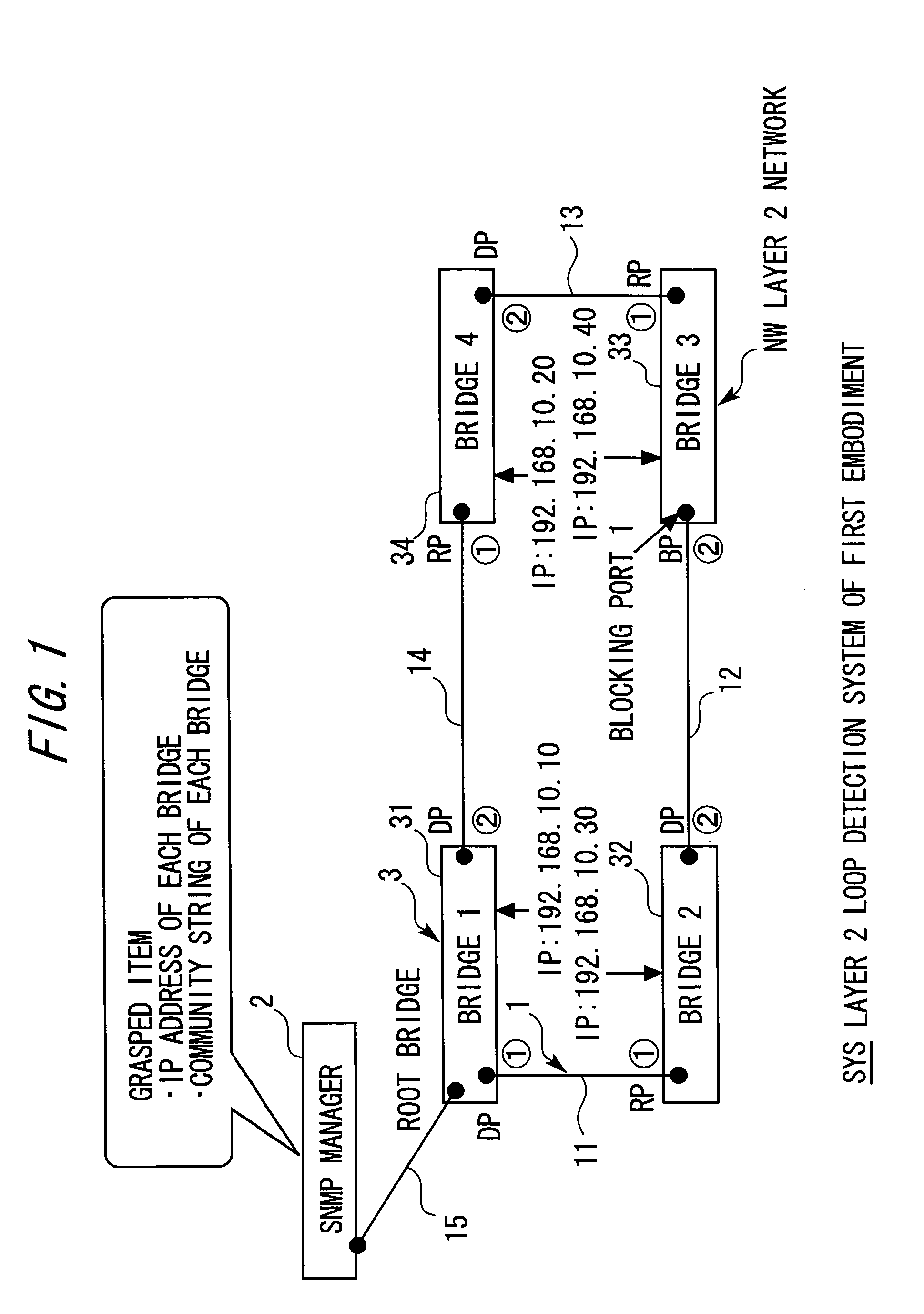 Layer 2 loop detection system