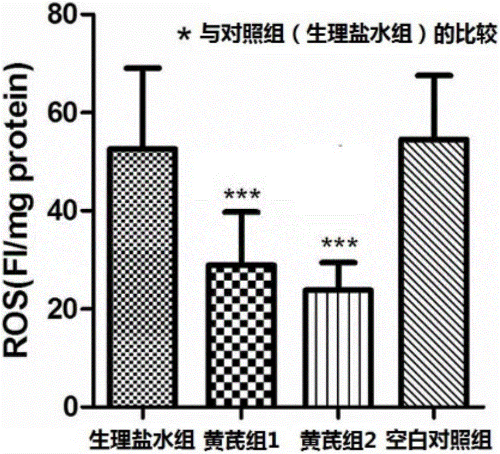 Anti-oxidation and anti-fatigue astragalus root functional drink and preparation process thereof