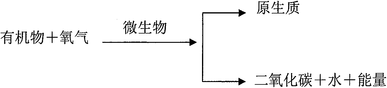 Method for directly measuring quantity of biodegraded organic matter of biological active carbon