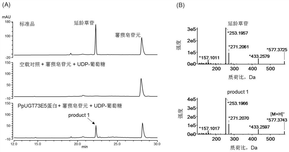 Glycosyl transferase PpUGT73E5 and application thereof in synthesis of polyphyllin