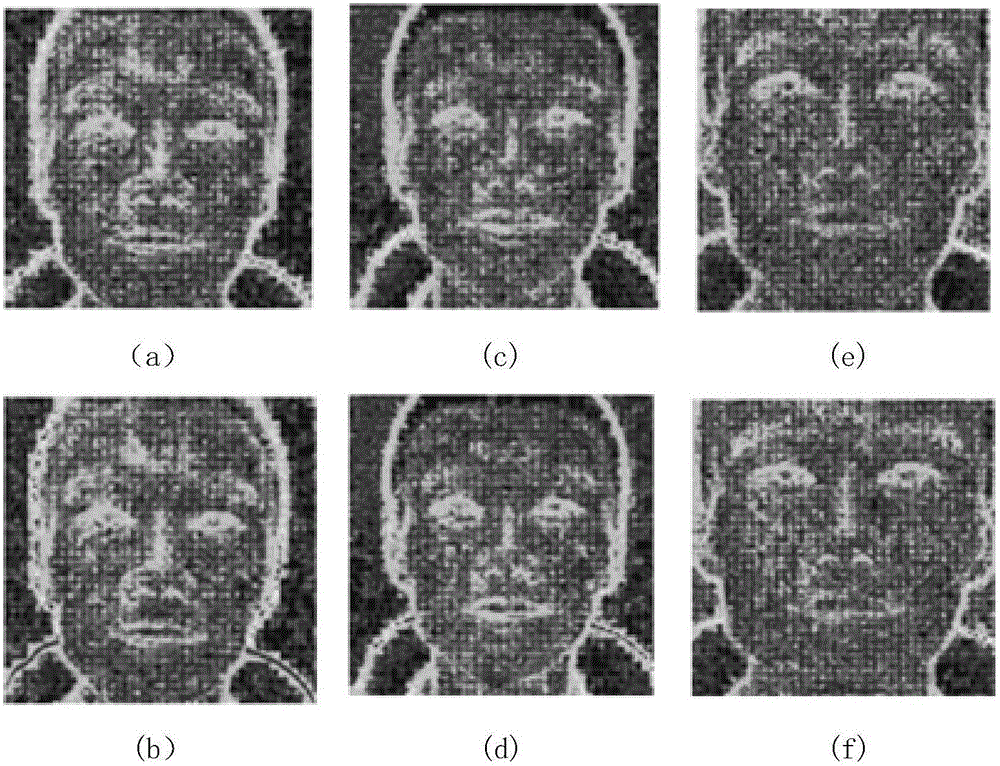 Human face living detection method based on light field camera