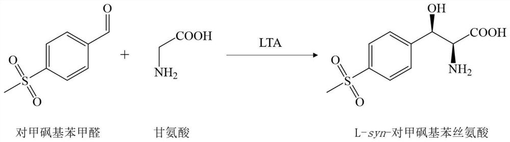 L-threonine aldolase mutant and application of L-threonine aldolase mutant in synthesis of L-synn-p-methylsulfonylphenylserine