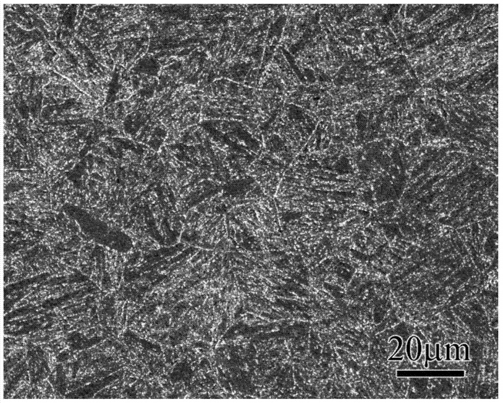 A Method for Improving the Lead-Bismuth Corrosion Resistance of Low-Activation Ferrite/Martensitic Steel