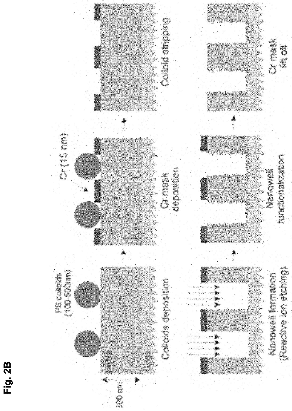 Smart nanopore and soft nanopore compositions for detecting and unfolding misfolded proteins and methods of using same