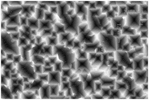 Monocrystalline silicon wafer texturing agent and texturing method using texturing agent