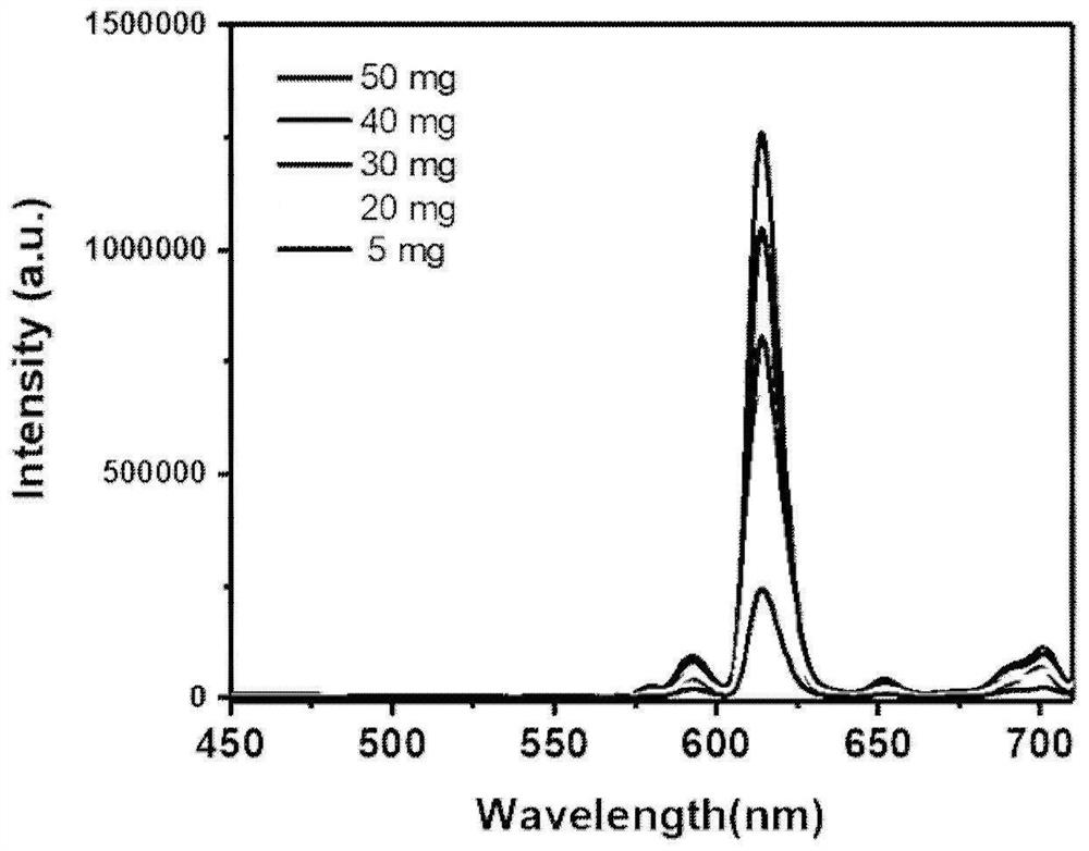 Copolymerized polystyrene fluorescent microsphere and preparation method thereof