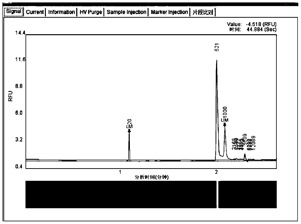 Microflora specific function gene diversity analysis primer pairs and analysis method