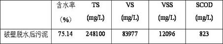 A kind of residual activated sludge drying treatment process